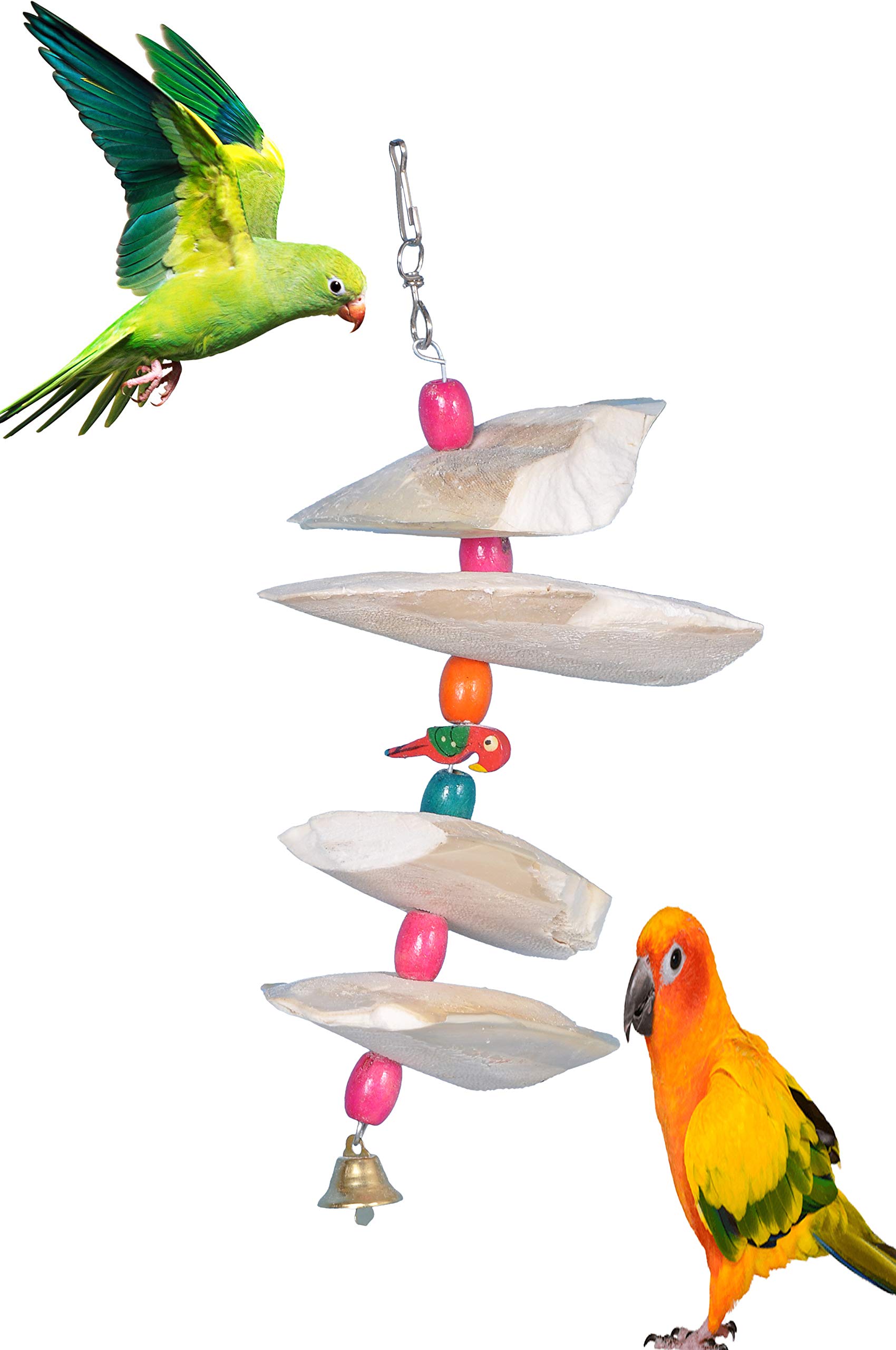 AVI CRAVE Cuttlefish Bone Toy for Birds,Calcium for Birds,Minerals,for Parrots,Budgies,Cocktail,Love Birds (Large) (B08FXPMQR3) Amazon Price History, Amazon Price Tracker