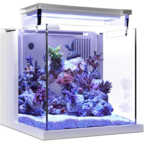 Premium All-in-One Desktop Mini Acrylic 0.95gal(3.6L) Reef Aquarium with Back Filter System and LED Light(BF-01B)