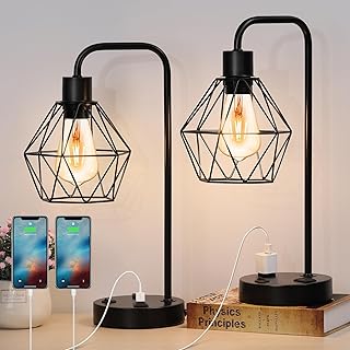 BTY Industrial Table Lamps Set of 2 Vintage Desk Lamp Metal Cage Nightst...