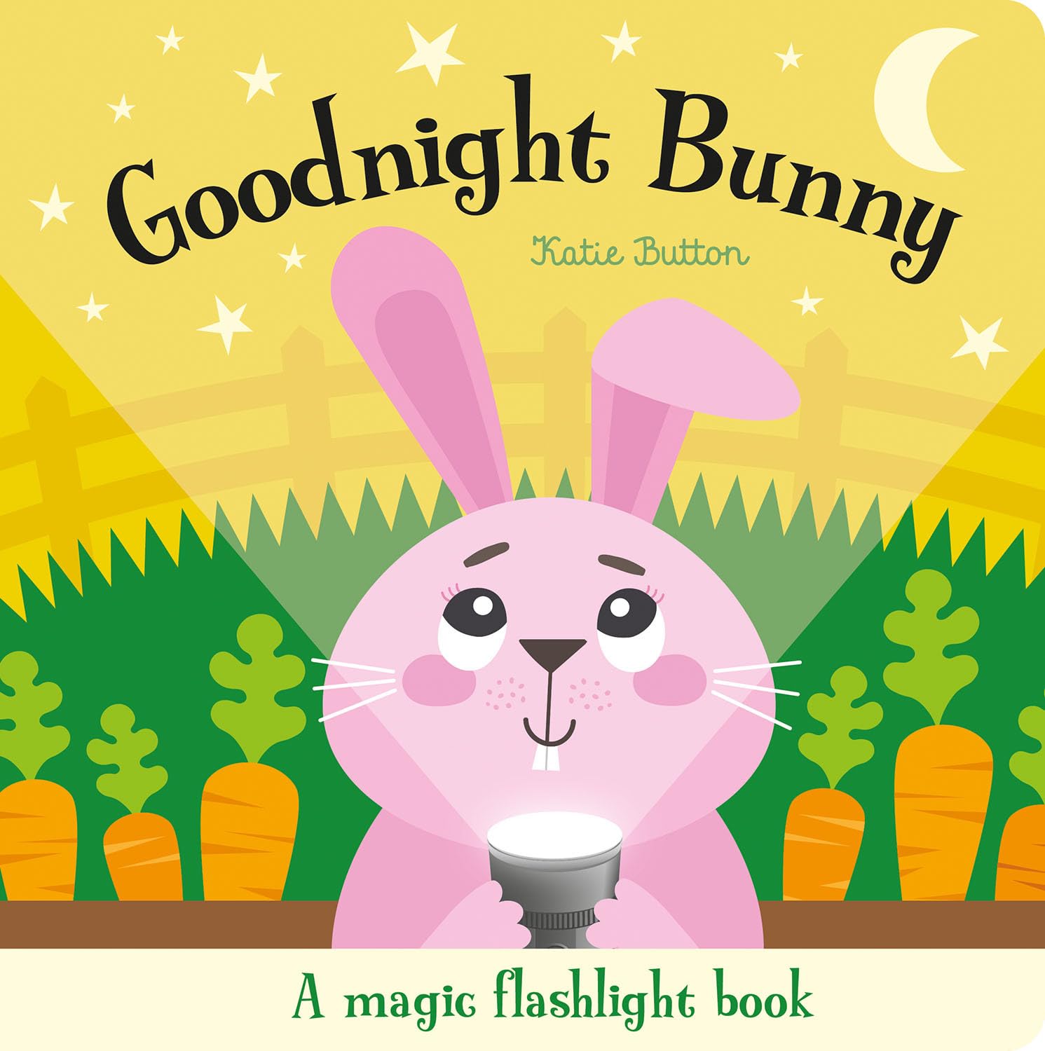 Goodnight Bunny (Magic Flashlight Books)