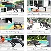 Yahboom ROS2 Robot Dog with RPi 5 AI Model Voice Embodied Intelligence OpenCV Programmable Bionic Quadruped AI Robotic Dog,for Educational Python Programming,Electronic Engineers(Without pi)