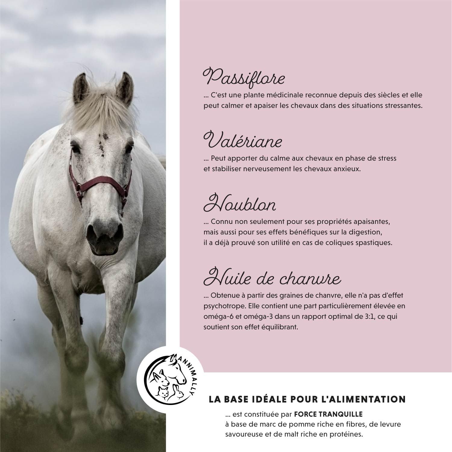 Annimally Poudre Relax pour Chevaux 850g pour Calmer Les Chevaux - Herbes pour Les nerfs avec magnésium, tryptophane, valériane, passiflore et Huile de Chanvre Contre l'anxiété, Le Stress