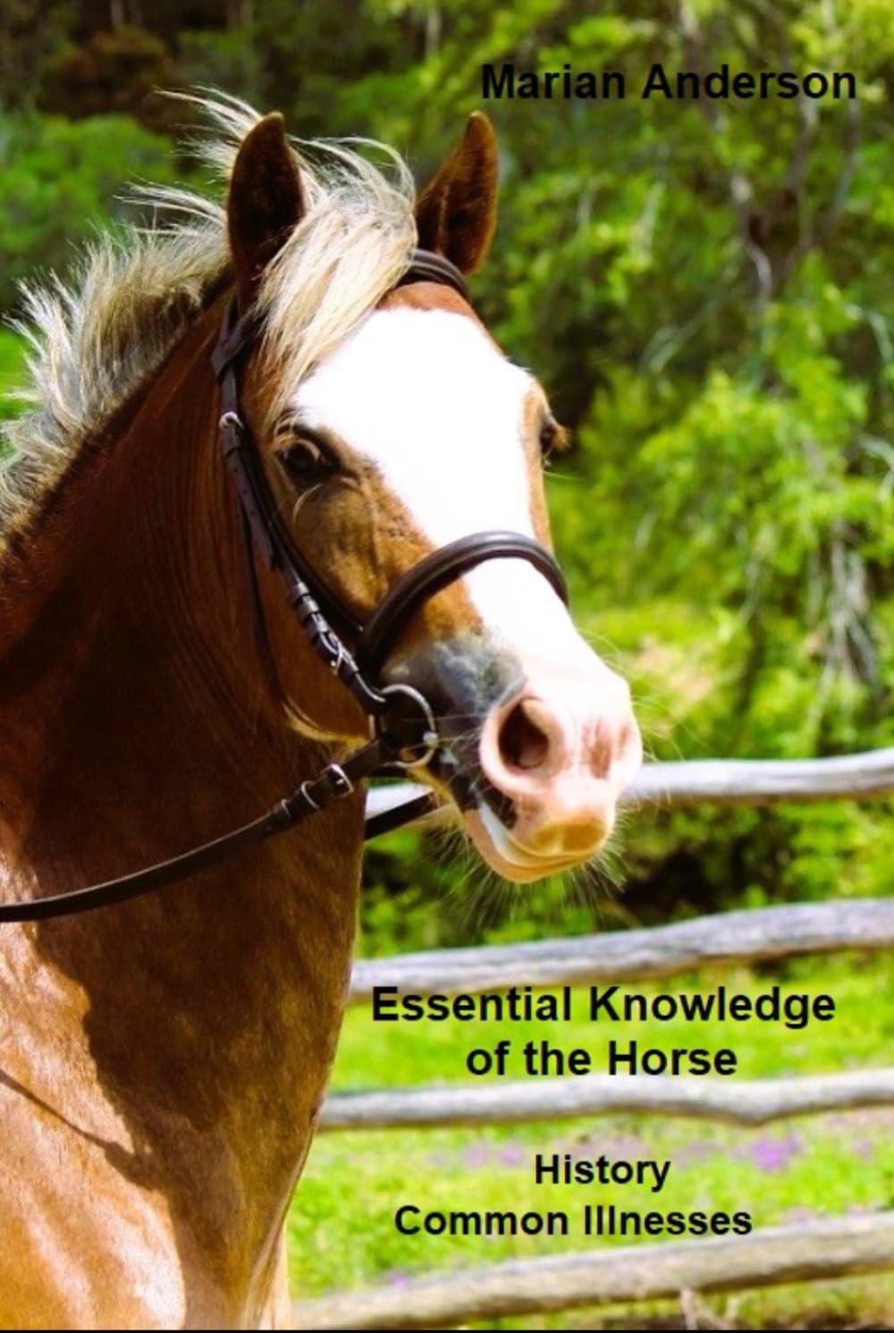 Essential Knowledge of the Horse: History and Common Horse Illnesses