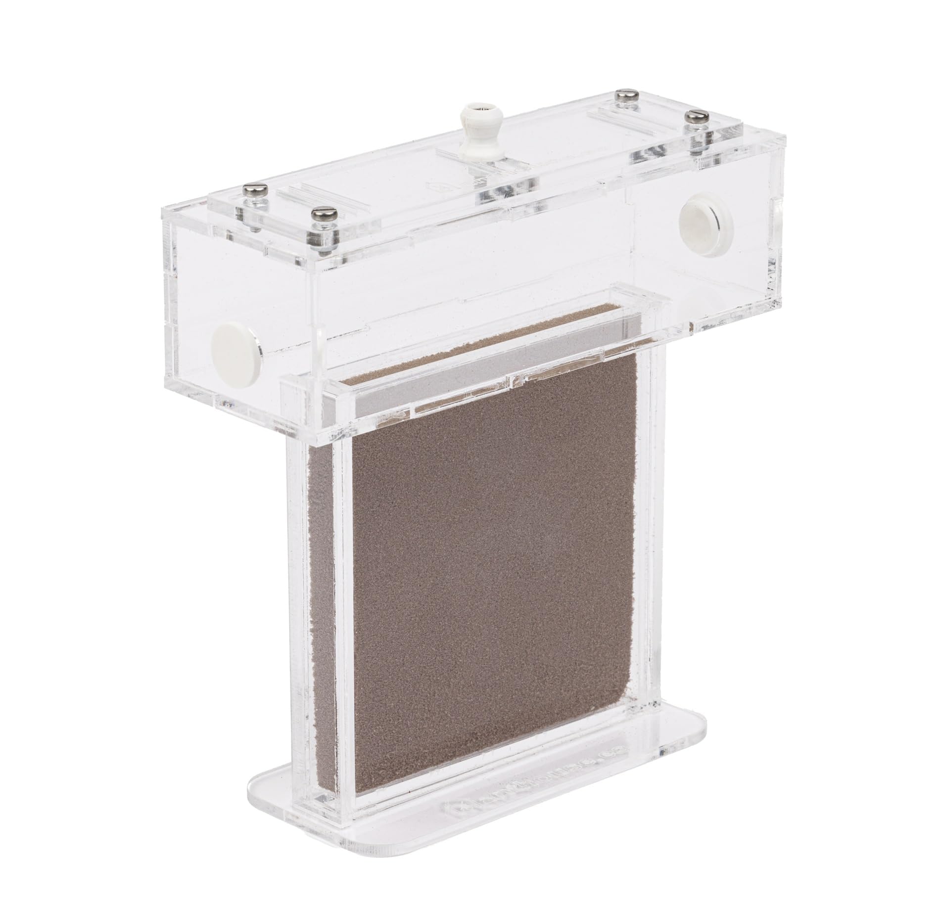 Kit Hormiguero Acrílico de Espuma en Forma de T Mini - Sándwich 14x5x14cm cm y Caja de Forrajeo - Hormiguero con Hormigas Vivas Incluidas (Reina, Obreras, Huevos y Larvas) - Transparente - 3