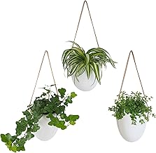 Gadgy Set of 3 Ceramic Hanging Flower Pots, Decorative Plant Stand, Wall Decoration, Living Room Home, Plant Holder Scandinavian Deco Corridor