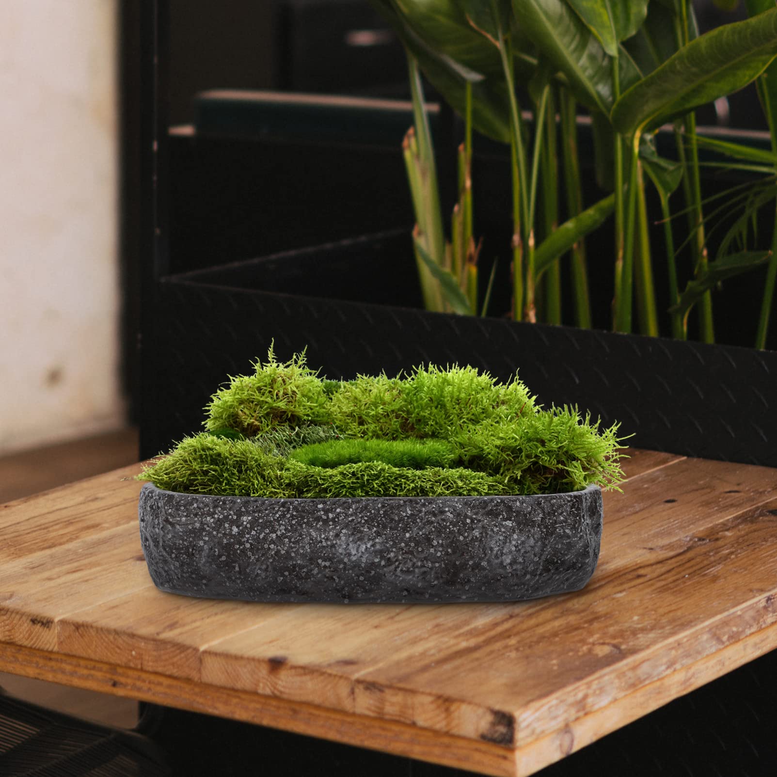 BESPORTBLE 1kawałek Ceramiczny Doniczkowy Pot Do Hydroponiki Bez Otworów Idealny Do Narcisów i Roślin Wodnych Stylowy Dekoracyjny Element Ogrodu