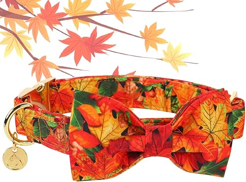 Miniatura 2 de DOGWONG Collar de otoño para perro con lazo, collar de moño para perro de Acción de Gracias, collar ajustable de algodón de otoño con hoja de arce,