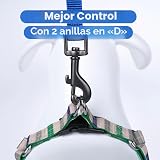 Ver la foto 6