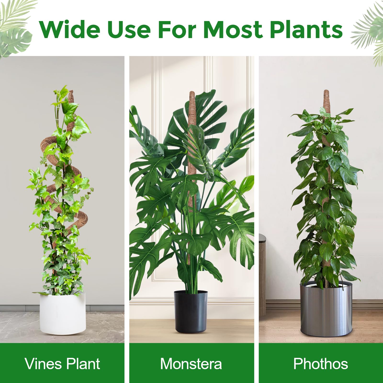 Amazon.co.jp: 植物モンステラ用曲げ可能なモスポール、屋内でのつる