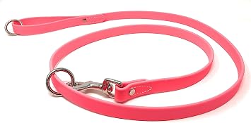 Regal Dog Products Waterproof Leash 5 ft. Pink Dog Leash with Easy to Use Collar Hook, Lightweight, and Proof Training Pet Lead with Vinyl-Coated Webbing for Small, Medium, Large, or XL Dogs