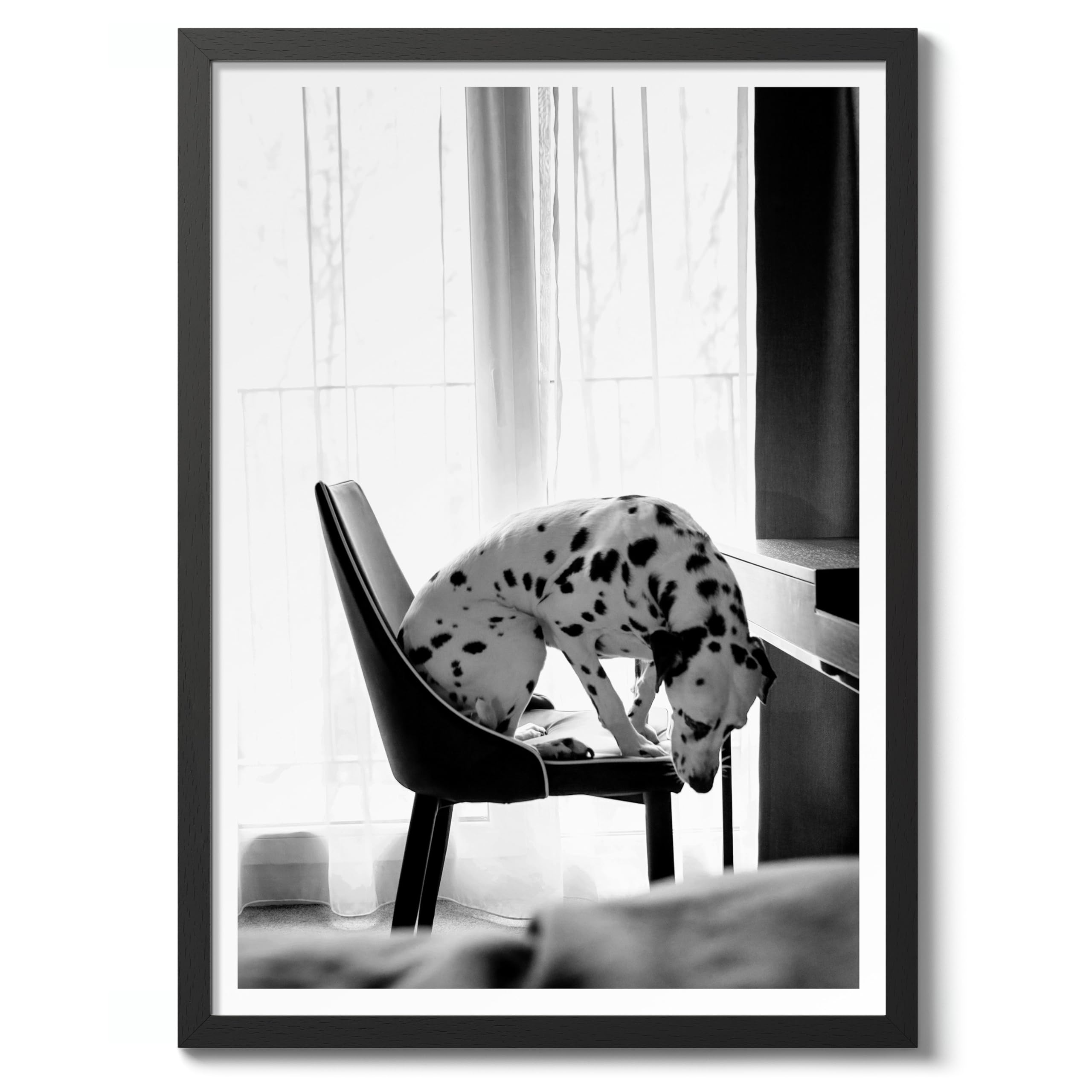 Dalmatian Poster Black & White Vintage Photography Print Minimalist Modern Interior Decoration, Archival Matte, 50x70cm (Black Frame) - 50x70cm