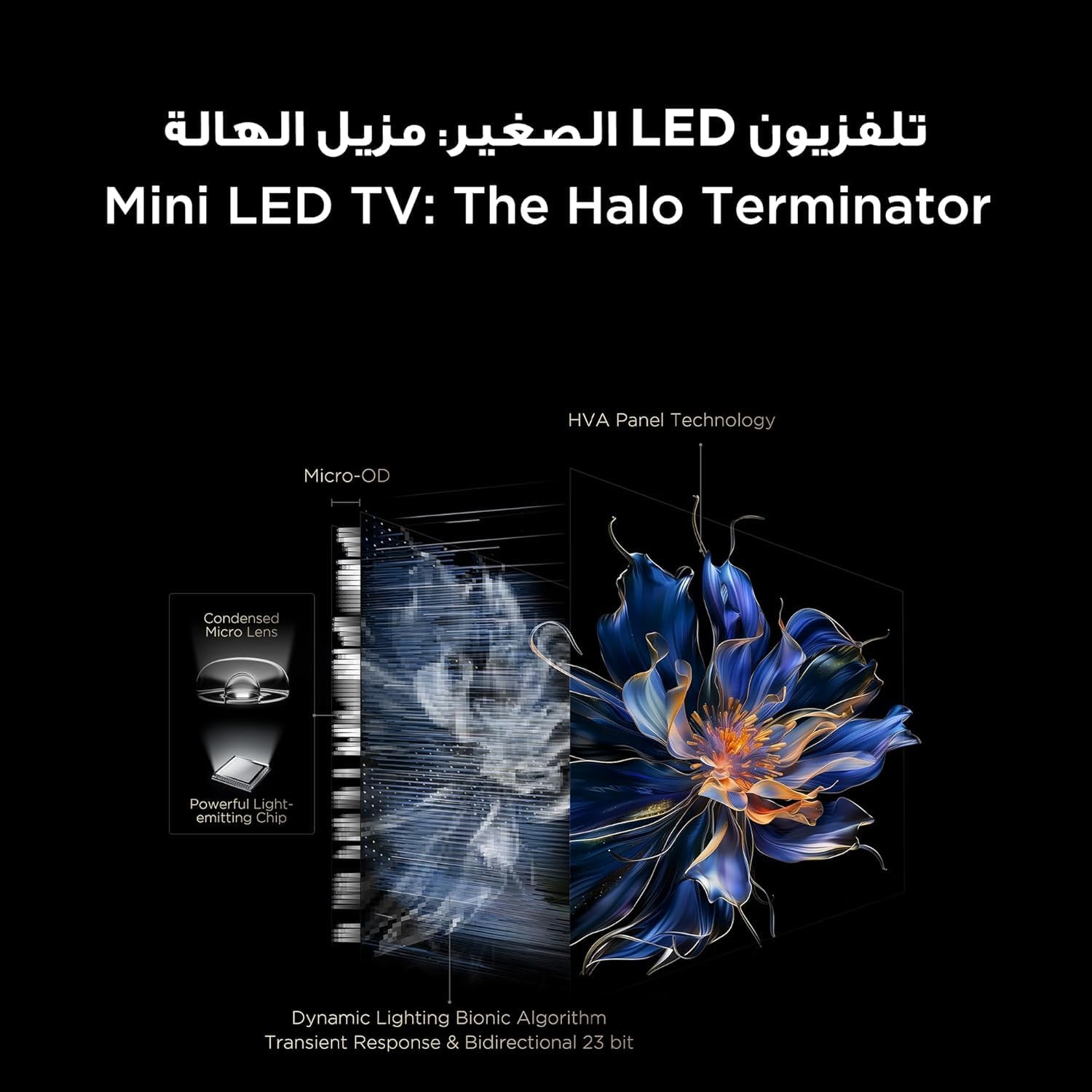 اوورview of TCL 55C6K TV features including Precise Dimming, High HDR Brightness, Dolby Atmos, QLED, HVA Panel, AIPQ Processor, and Ultra Slim Design.