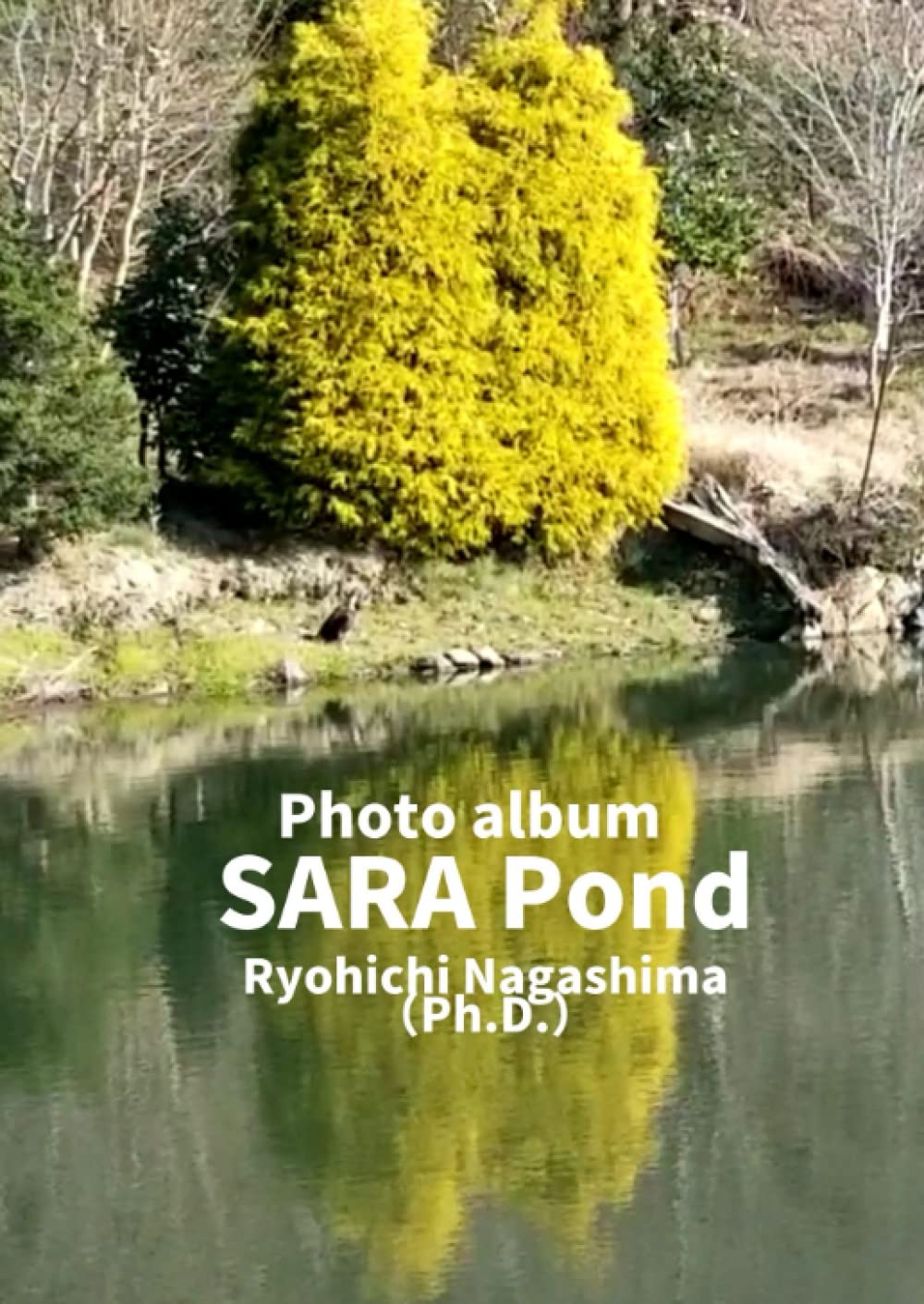 Album photo SARA Pond grand format pour collage et archivage photo