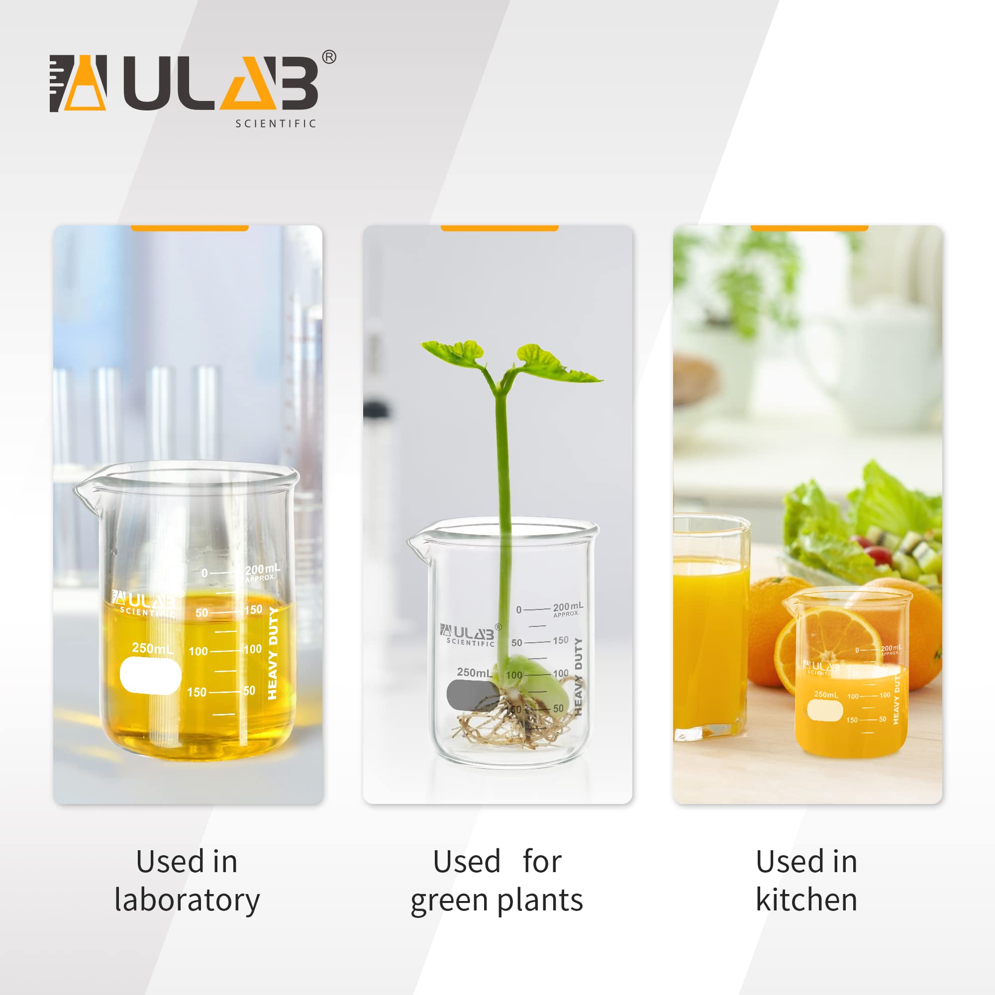ULAB UBG1055 Lot de 6 béchers en verre résistants avec graduation imprimée à double échelle 250 ml