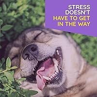 Vista 6 de MediNatura T-Relief - Tabletas calmantes para mascotas (90) + tabletas para aliviar el dolor de mascotas T-Relief (90)