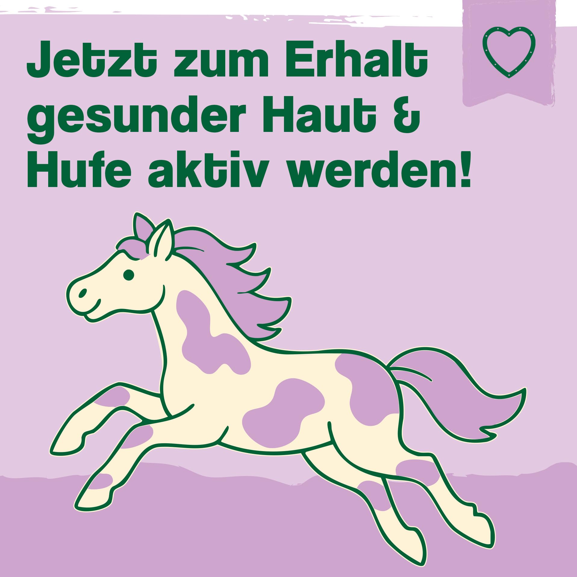 Ida Plus Mauke Spray für Pferde 500 ml - schnelle Hilfe bei Mauke, Strahlfäule & Ekzemen - Mauke Mittel mit effektiven Mikroorganismen - rasche Linderung, hautfreundliche & schmerzfreie Hufpflege