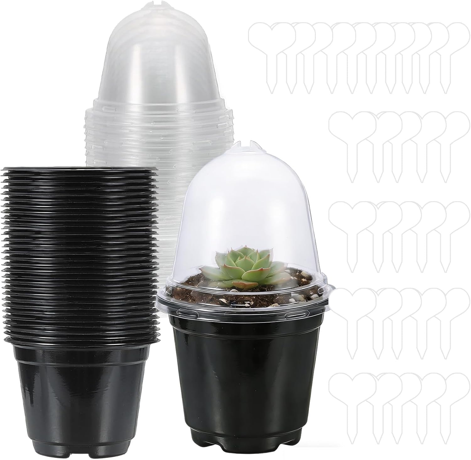 Propagation Pots, 9 cm Round Propagation Pots, Pack of 30 Plastic Flower Pots, Reusable Flower Pots Plastic with Dome Lid, with 30 Moisture Dome and Plant Labels (Black)