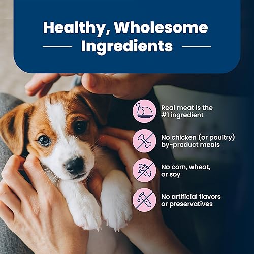 Miniatura 7 de Blue Buffalo Life Protection Formula Natural Puppy Small Breed Dry Dog Food