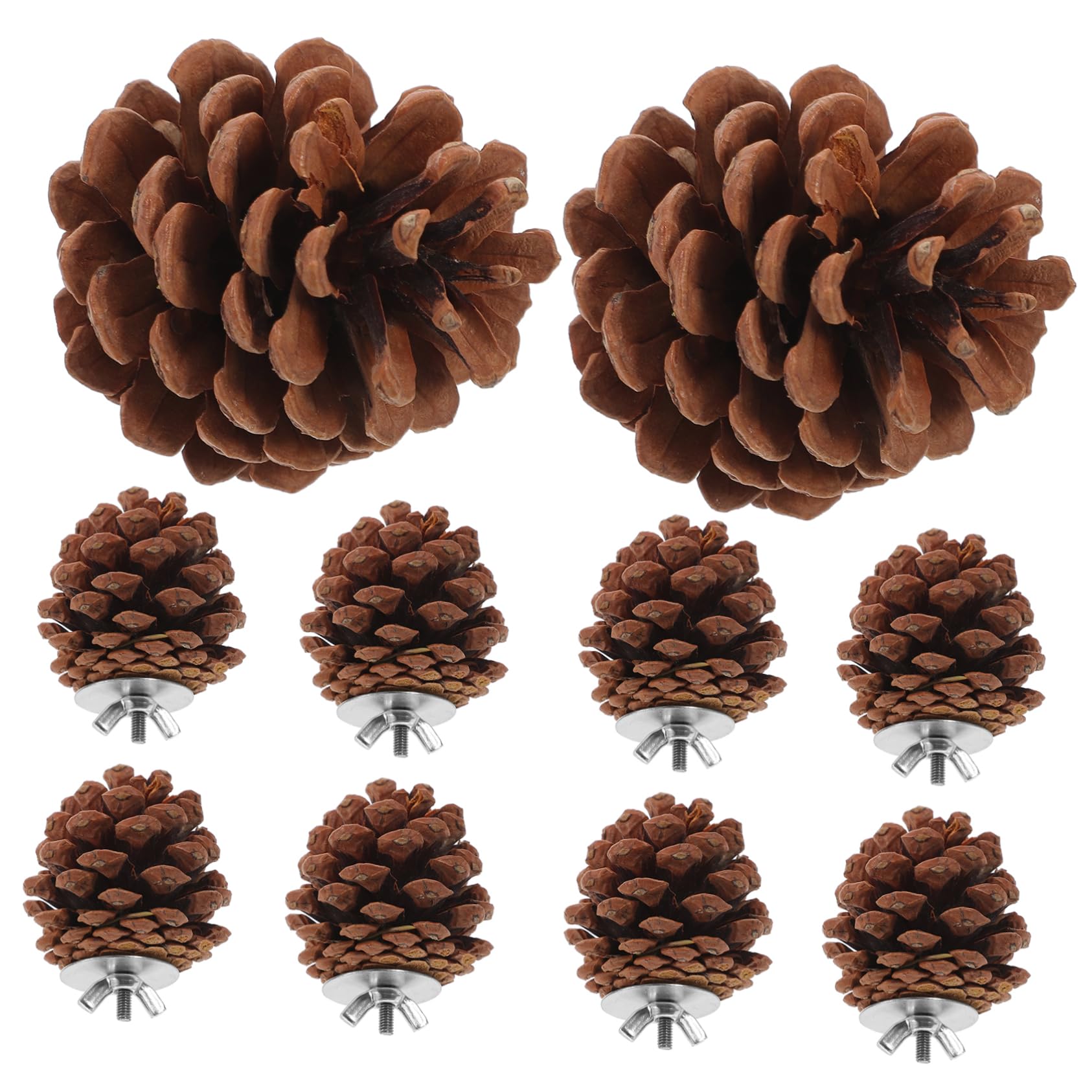 10 Pcs Natural Pine Cones Bird Toys, Parrot Chew Toy for Cage, Wood Foraging Shredding Playthings Conure Cockatiel Parakeet African Grey Macaw Nut Fixed
