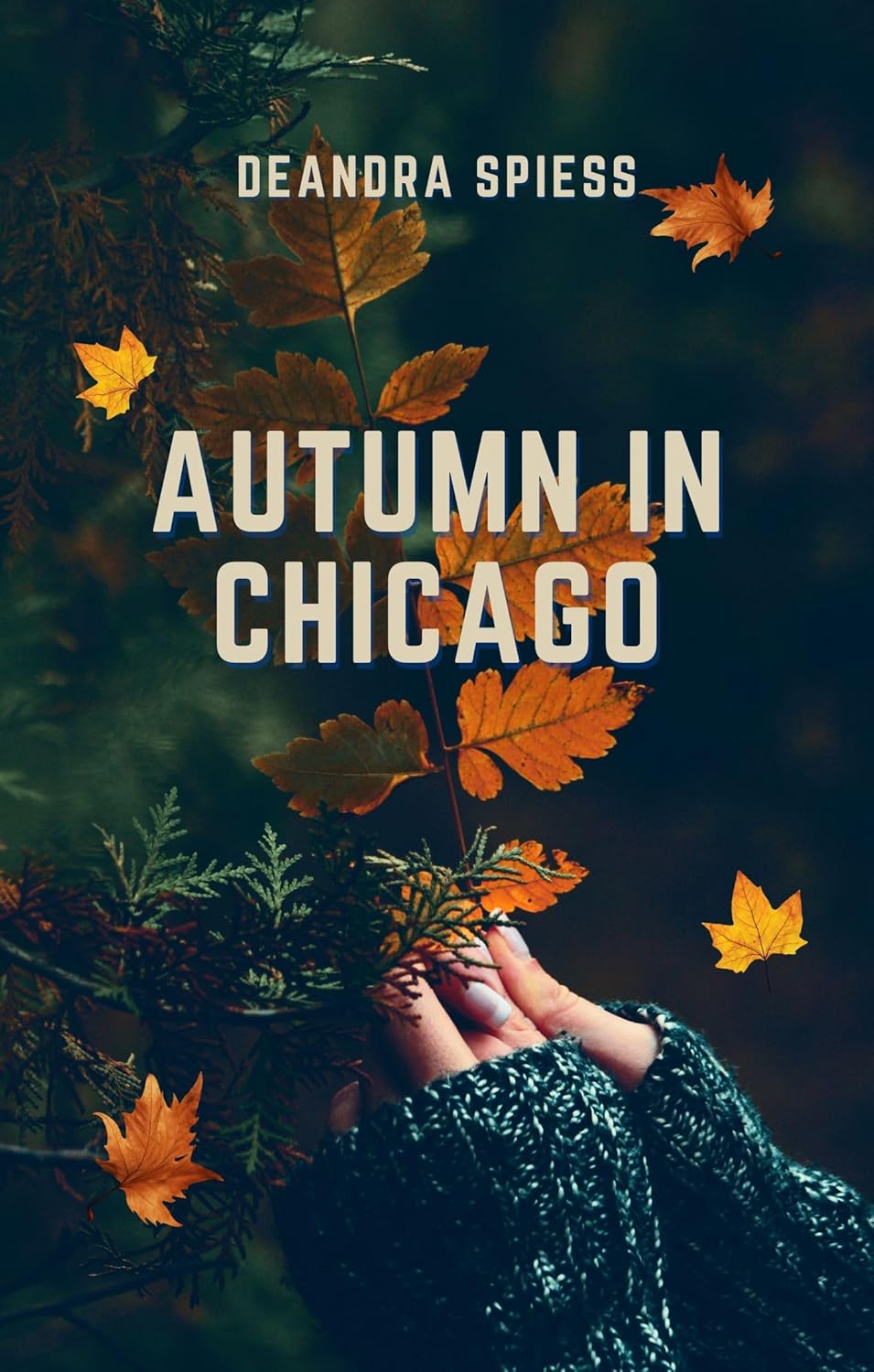 Autumn in Chicago      Kindle Edition
