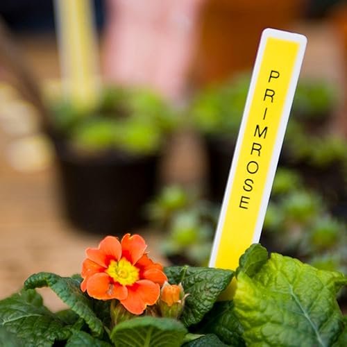 Miniatura 317 de Brother - Cinta de etiquetas laminadas P-touch M31, prémium, 0.47 pulgadas de ancho x 26.2 pies de largo, negra sobre transparente mate Negro sobre