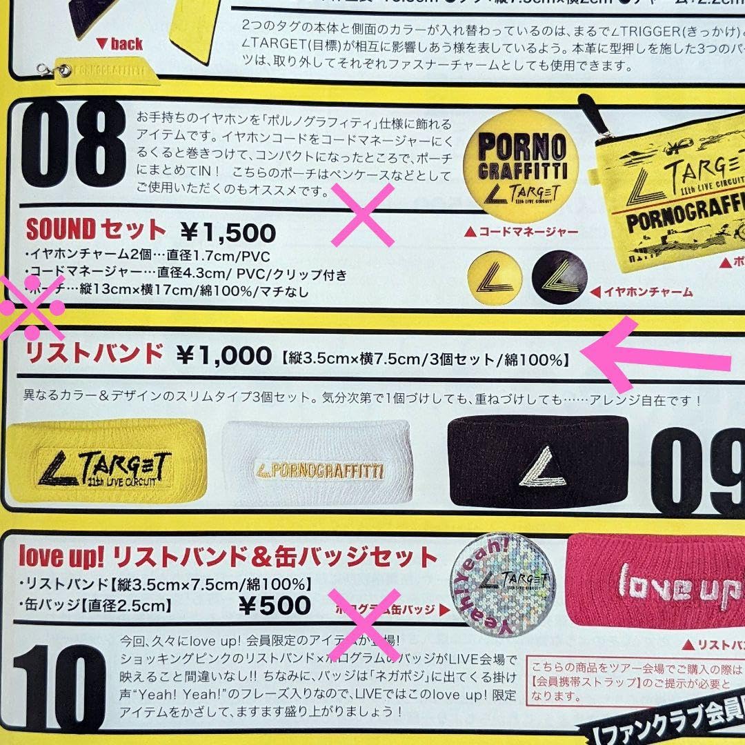 2010年TARGET ポルノグラフィティグッズ14点 2010年TARGET ポルノグラフィティグッズ14点 2010年TARGET