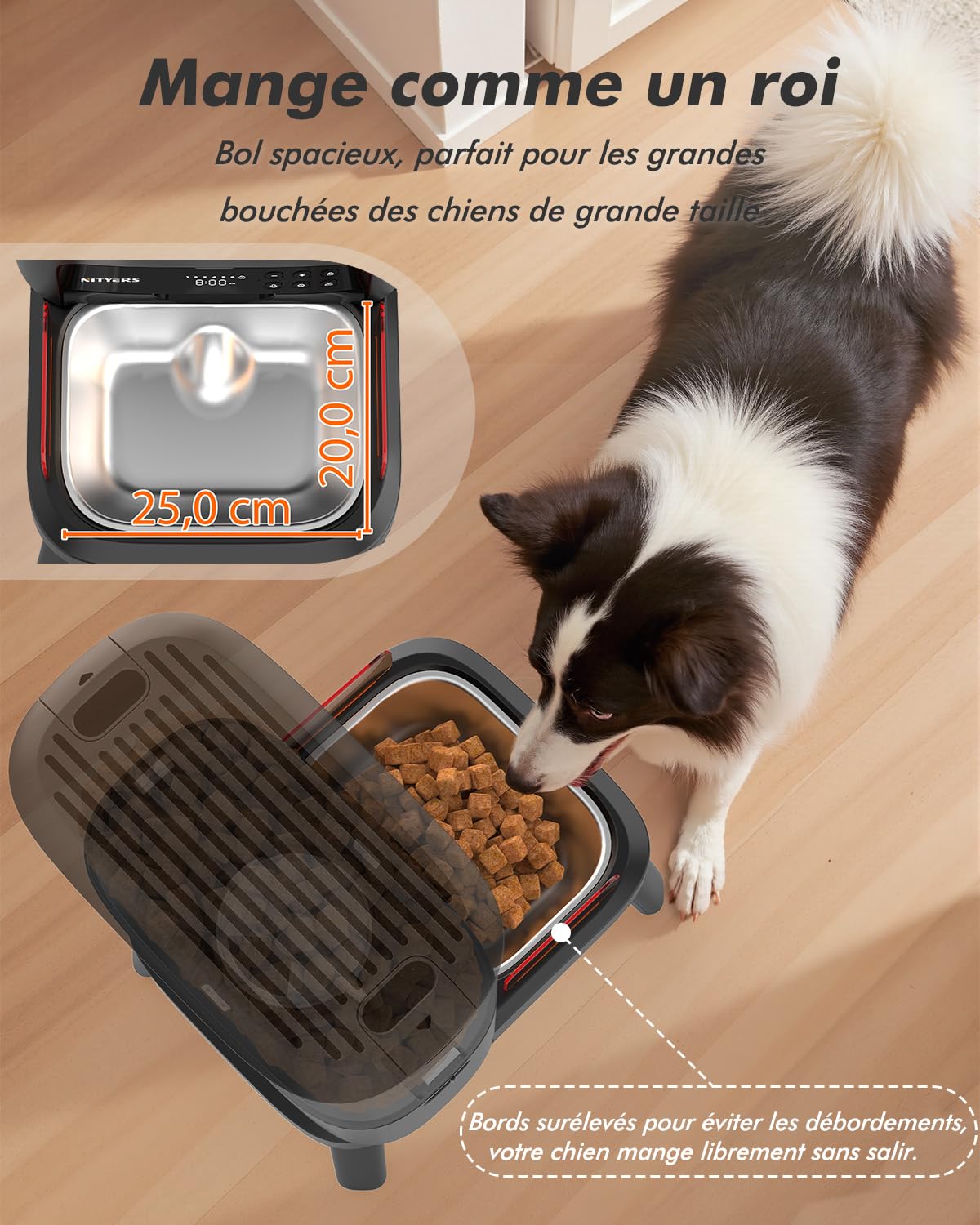 Distributeur Croquettes Chien Automatique, 15L Grande Capacité | Croquettes Jusqu'à 18mm, Support Réglable en 2 Hauteurs, Alerte Niveau Bas, pour Chien de Grande Taille et Chats Multiples