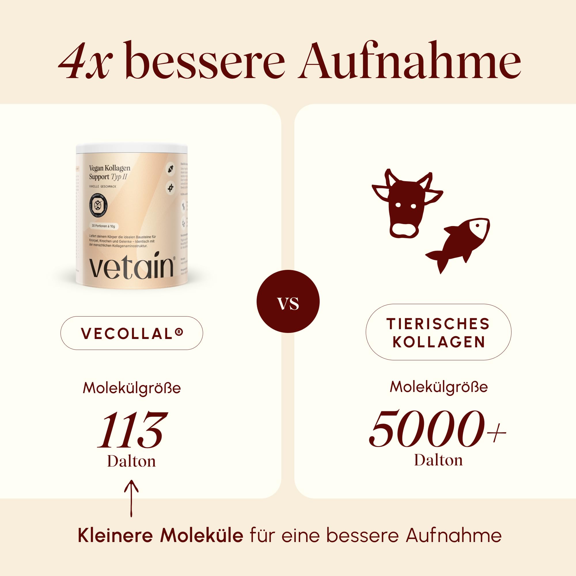 VETAIN Colágeno vegano tipo 2 [300 g] – Con VeCollal, cúrcuma, vitamina C, zinc y biotina, para huesos y articulaciones, sin azúcar añadido, producido en Alemania, sabor a vainilla