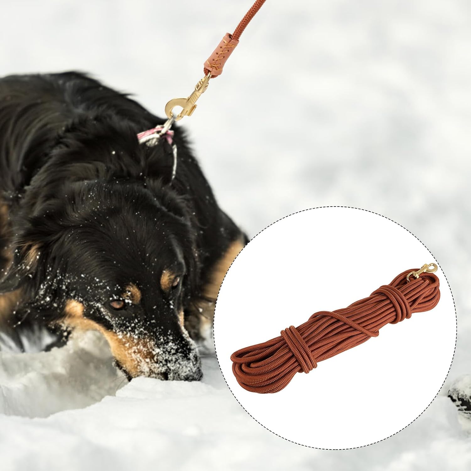 20m Dog Training Leash Pet Extender Lead Heavy Duty Nylon Rope for Small to Large Dogs Outdoor Walking and Tracking