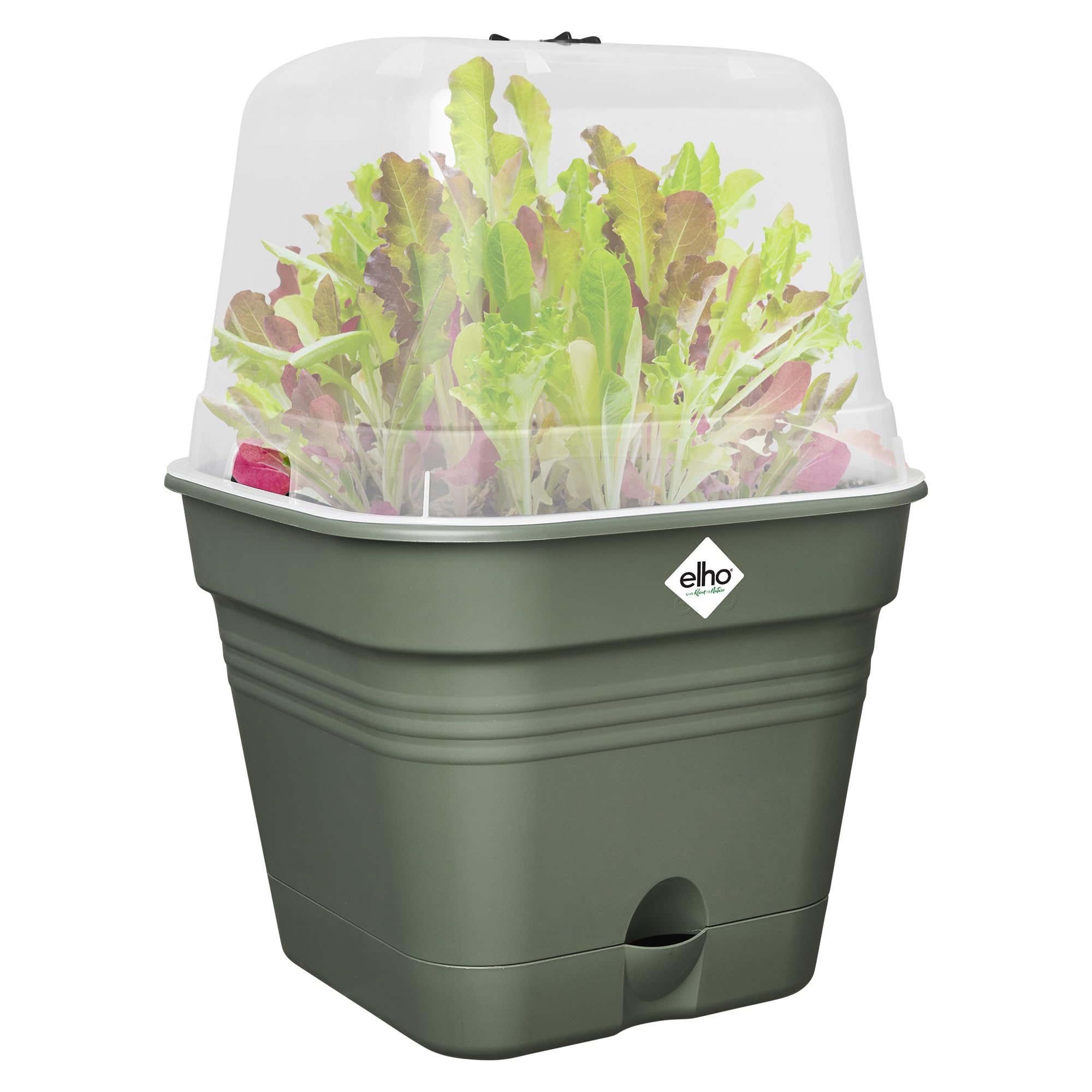 Elho Green Basics Growpot Square Allin1 15 - Vasetti per Piantine - Ø 15.0 x H 12.1 cm - Leaf Green