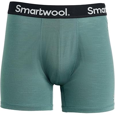 Smartwool Everyday Merino Boxer Brief Boxed