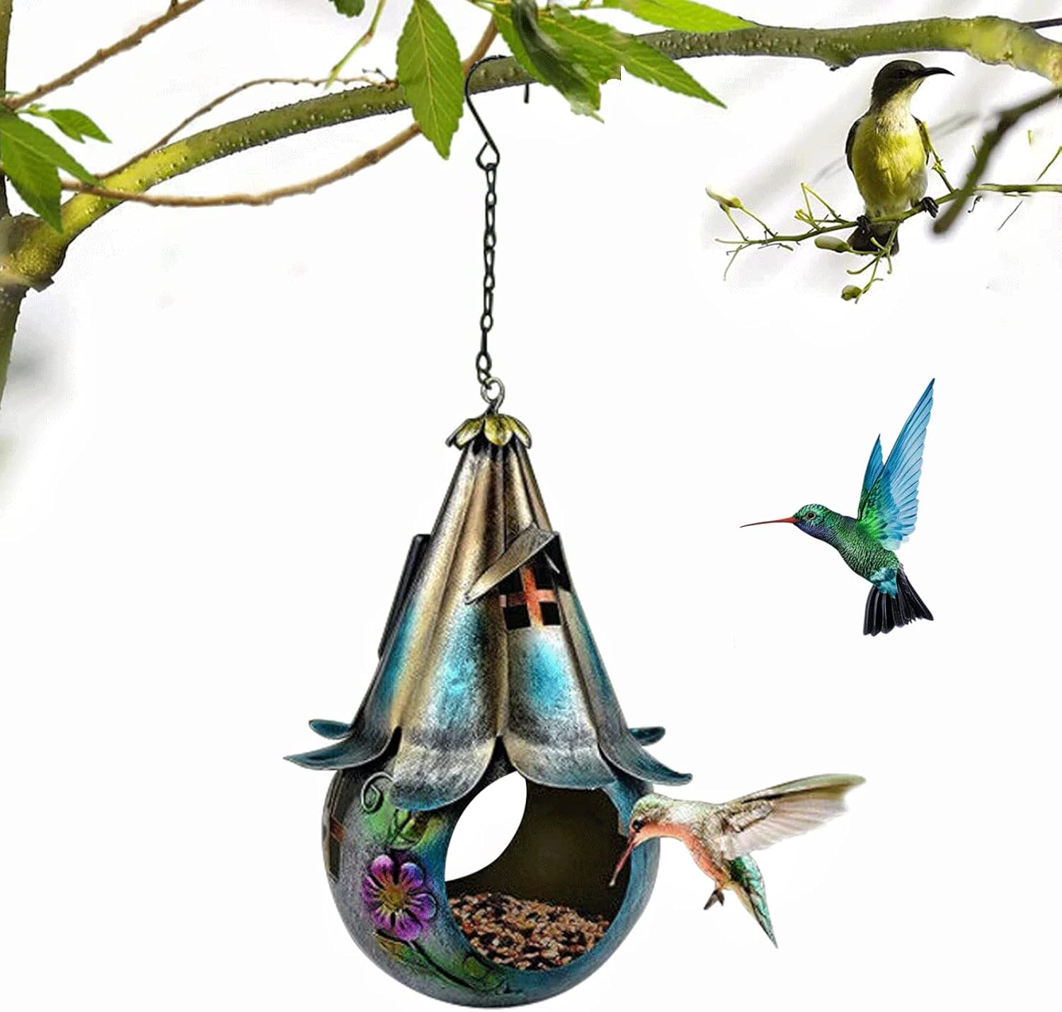 Exploring the Features of Modern Camera Bird Feeders