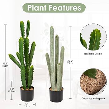 71zBwHdY2qL._AC_UF350, 71zBwHdY2qL._AC_UF350,