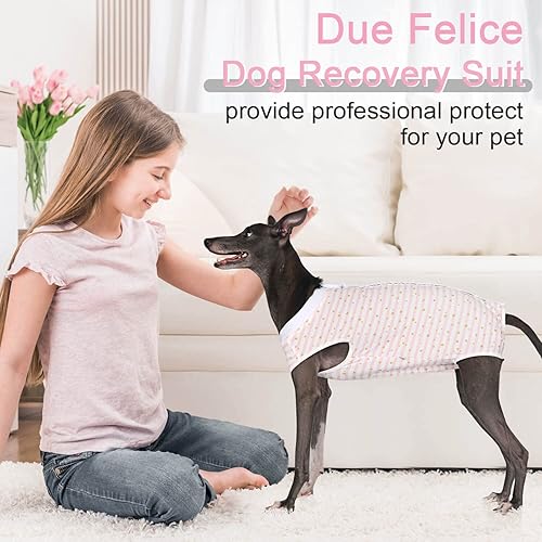 Miniatura 47 de Traje de cirugía para perros, traje de recuperación de esterilización femenina para perros, traje de recuperación quirúrgica para perras, traje