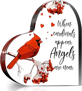 Blulu Red Memorial Cardinal Gift Sympathy Bereavement Loved One in Heaven Christmas Cardinal Memorial Gifts for Loss of Family Member Christmas in Heaven Remembrance Present(6 x 6 Inch)