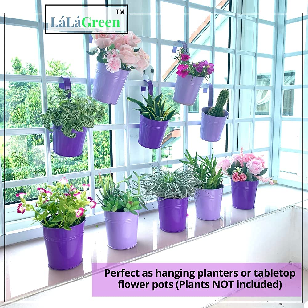 Amazon.co.jp: 植木用ハンギングポット - 10個パック パープル 4インチ