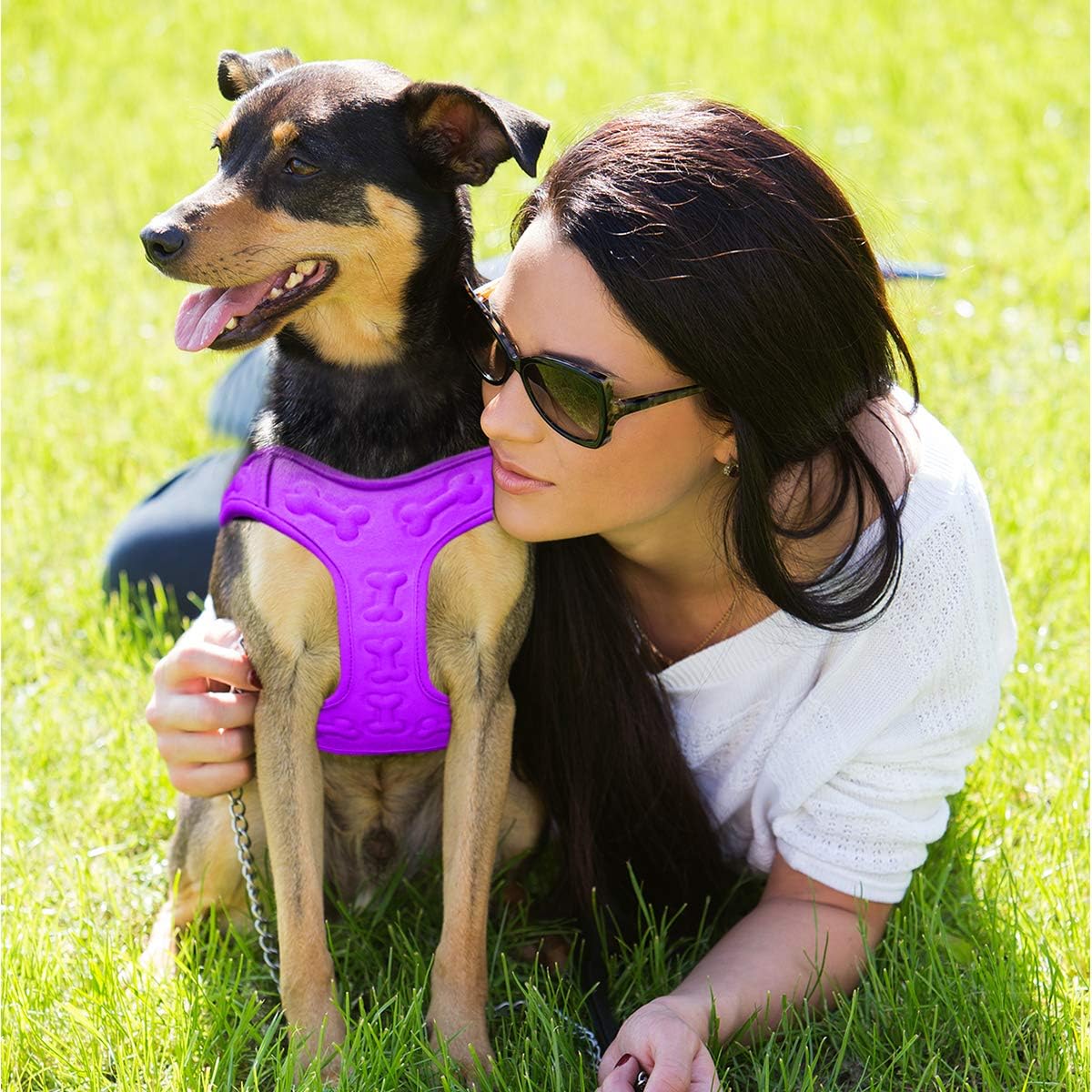 Comfort fit Step-in Dog & Puppy Harness, Comfortable All Weather Dog Vest Harness: Adjustable, Soft Padded - Image 5