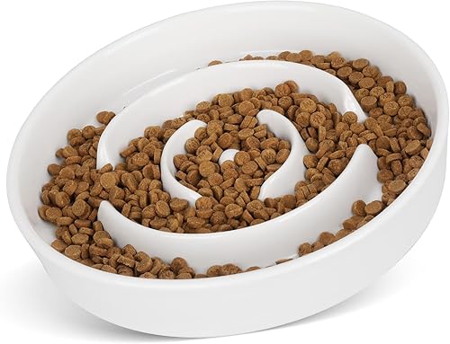 DRENOYIC Cuencos de cerámica para perros de alimentación lenta, tazón de comida para perros de raza pequeña y media, promueve una alimentación