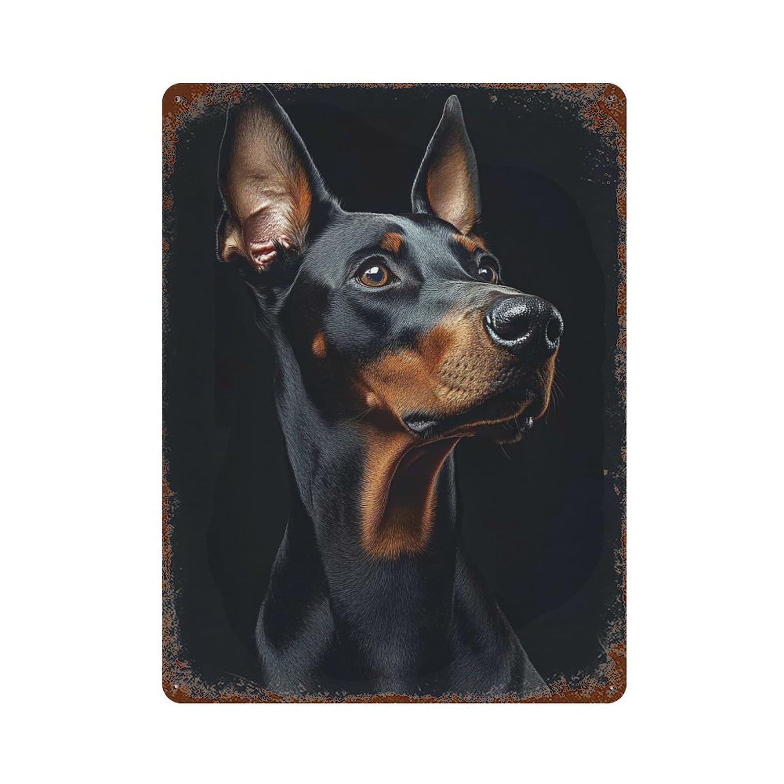 Doberman Pinscher Portrait on Black Background Aged Metal Wall Plaque 15.7"x11.8", for Office, Studio And Wall Decor, Novelty Wall Decor