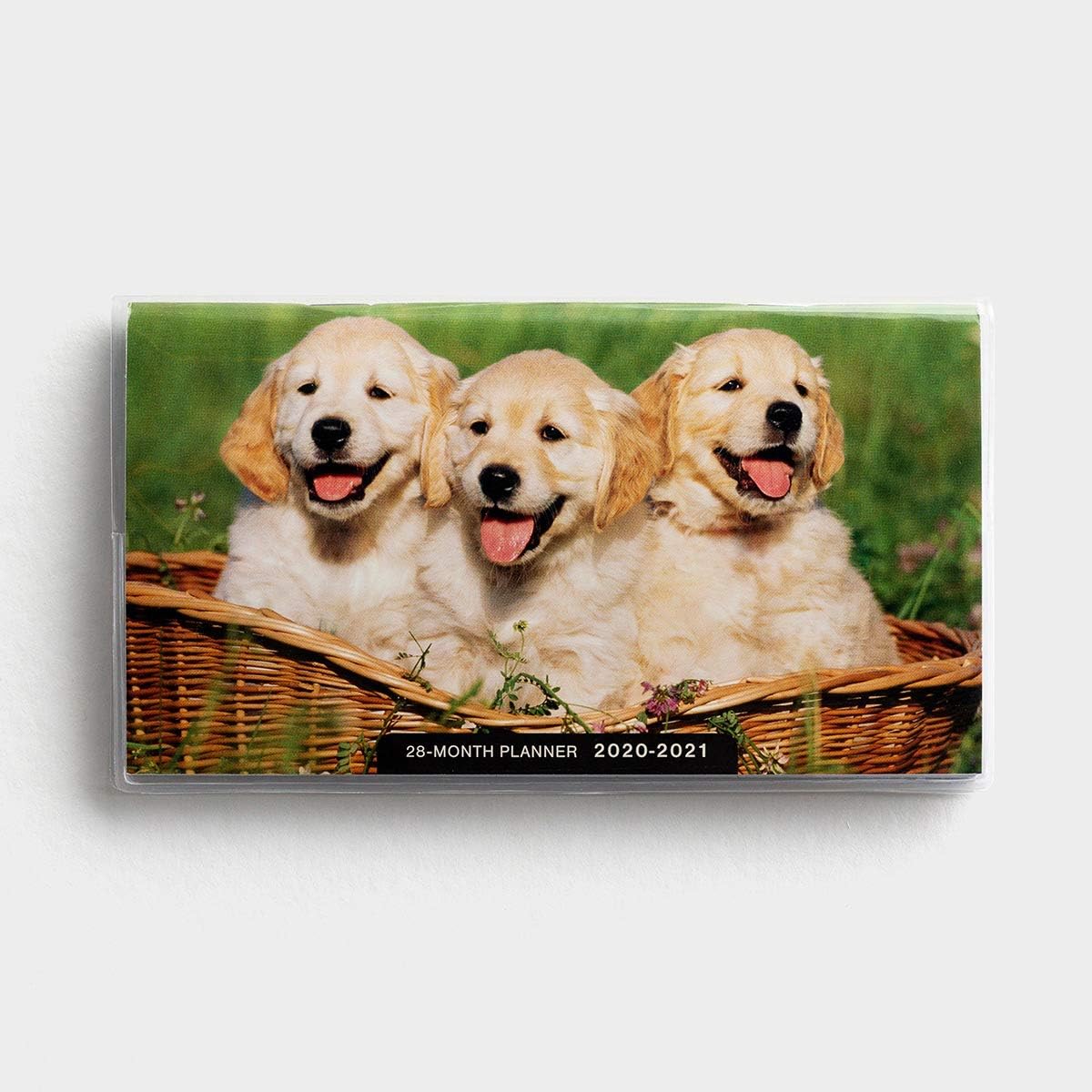 Day Spring Cards Planner-2020/2021-Puppies (28 Month)