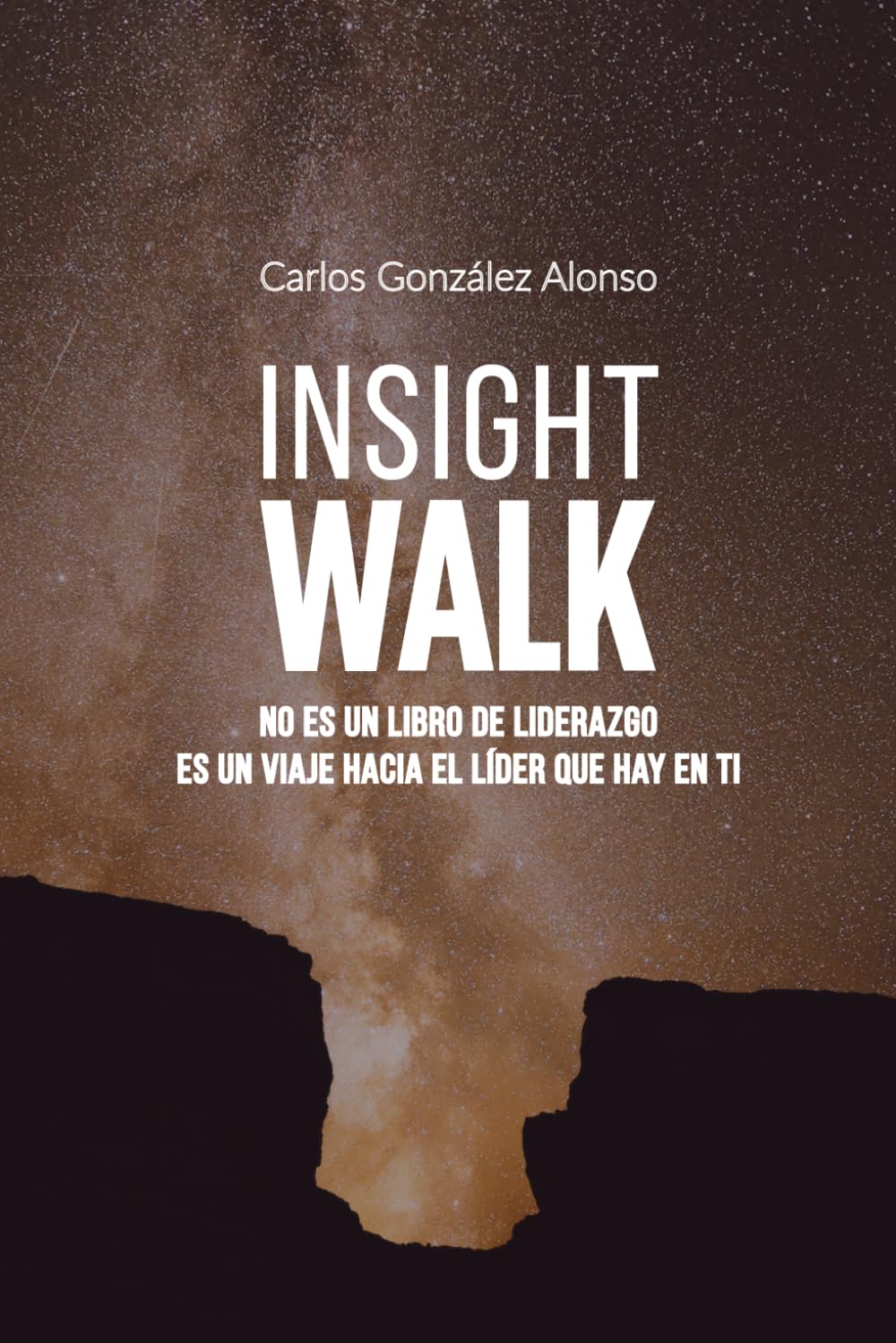 Insight Walk: No es un libro de liderazgo. Es un viaje hacia el líder que hay en ti.