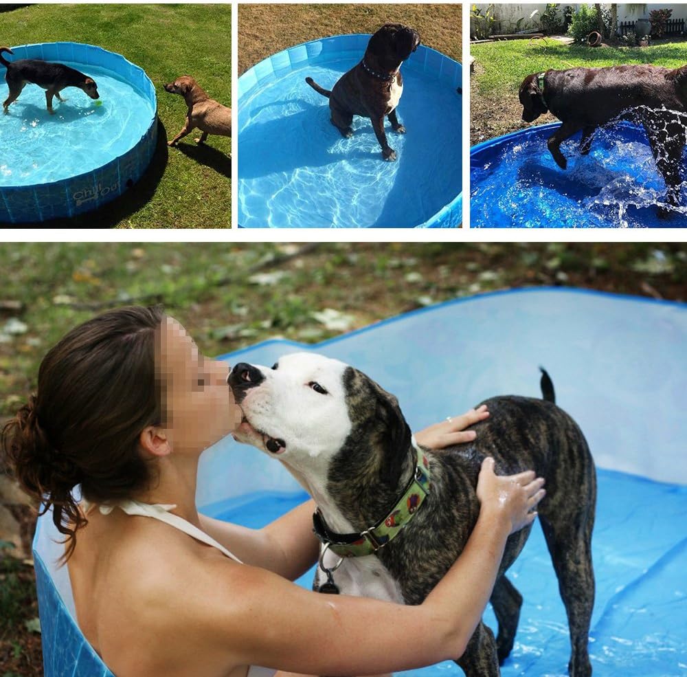 ALL FOR PAWS Chill Out Splash and Fun Dog Pool, Large, 13.64 kg