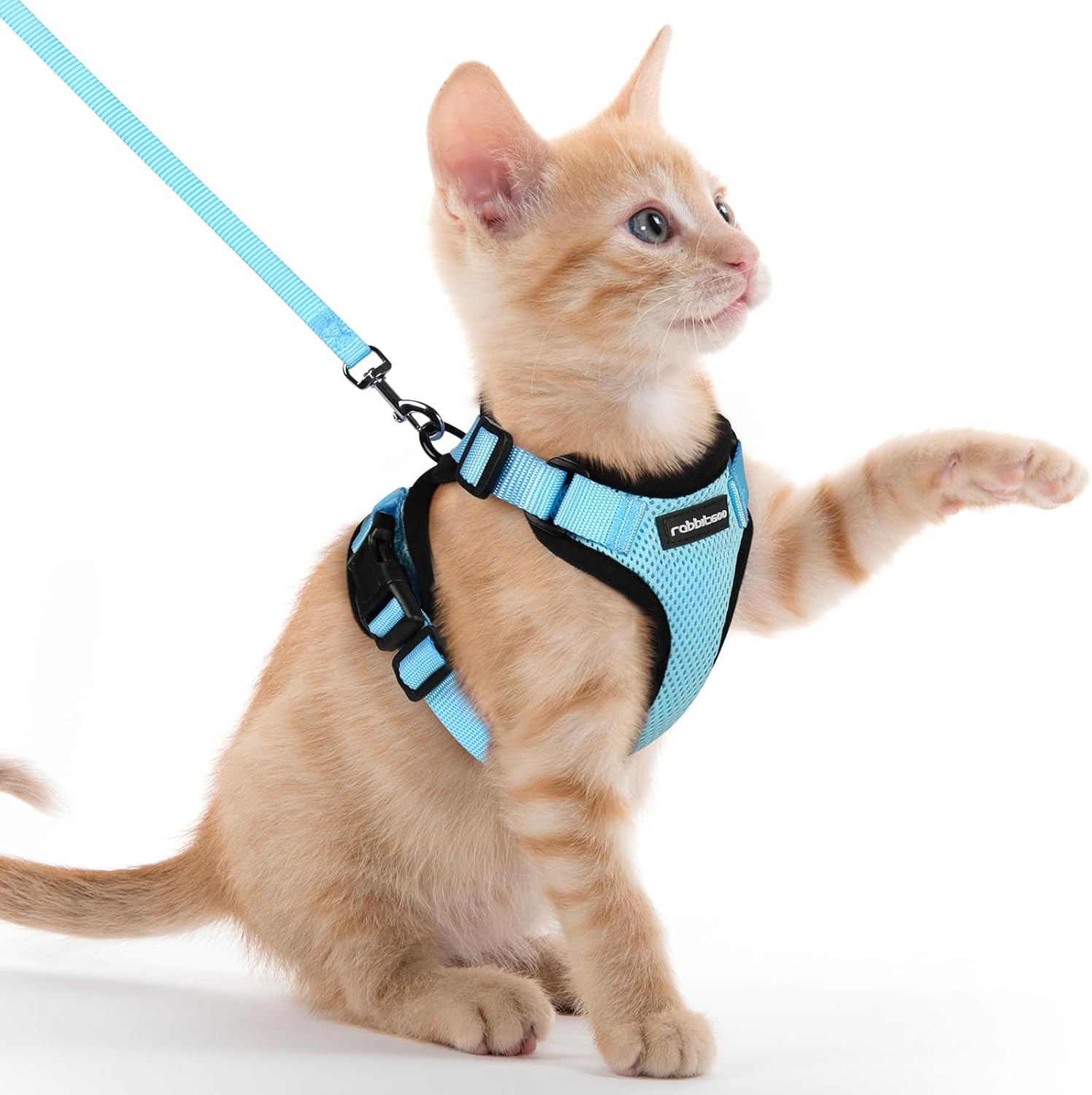 rabbitgoo Cat Harness and Leash for Walking, Escape Proof Soft Adjustable Vest Harnesses for Cats, Easy Control Breathable Reflective Strips Jacket, Light Blue, XXS XX-Small Light Blue