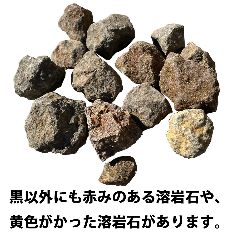 Amazon | Goldlife 浅間の 溶岩石 小 Sサイズ 横幅約25mm〜70mm 2キロ