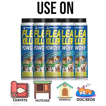 PEBBLE HUG Flea Killer Powder 200g, Insect Killer Indoor & Outdoor, Easy Application, Safe for Home Use, Crawling Insect Killer, Rapid Elimination & Prevention, (4 Pcs)