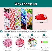 Vista 5 de Zimal Shih Tzu Dog DIY - Pintura de diamantes hecha a mano con diseño de animales, punto de cruz, mosaico de punto de cruz, bordado de diamantes