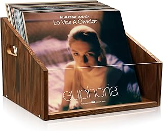 GRETJOB Vinyl Record Storage Crate - Wooden & Acrylic Record Storage Holds 70+ Records, Books, Files - Desktop & Home Office Storage with Handle