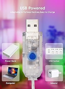 String Lights Indoor, 33Ft 80 LED Rose Flower Lights, 8 Modes Dimmable & Timeable Twinkle Lights, Festival Christmas Decorations for Bedroom Living Room, Multicolor, USB Plug, Remote