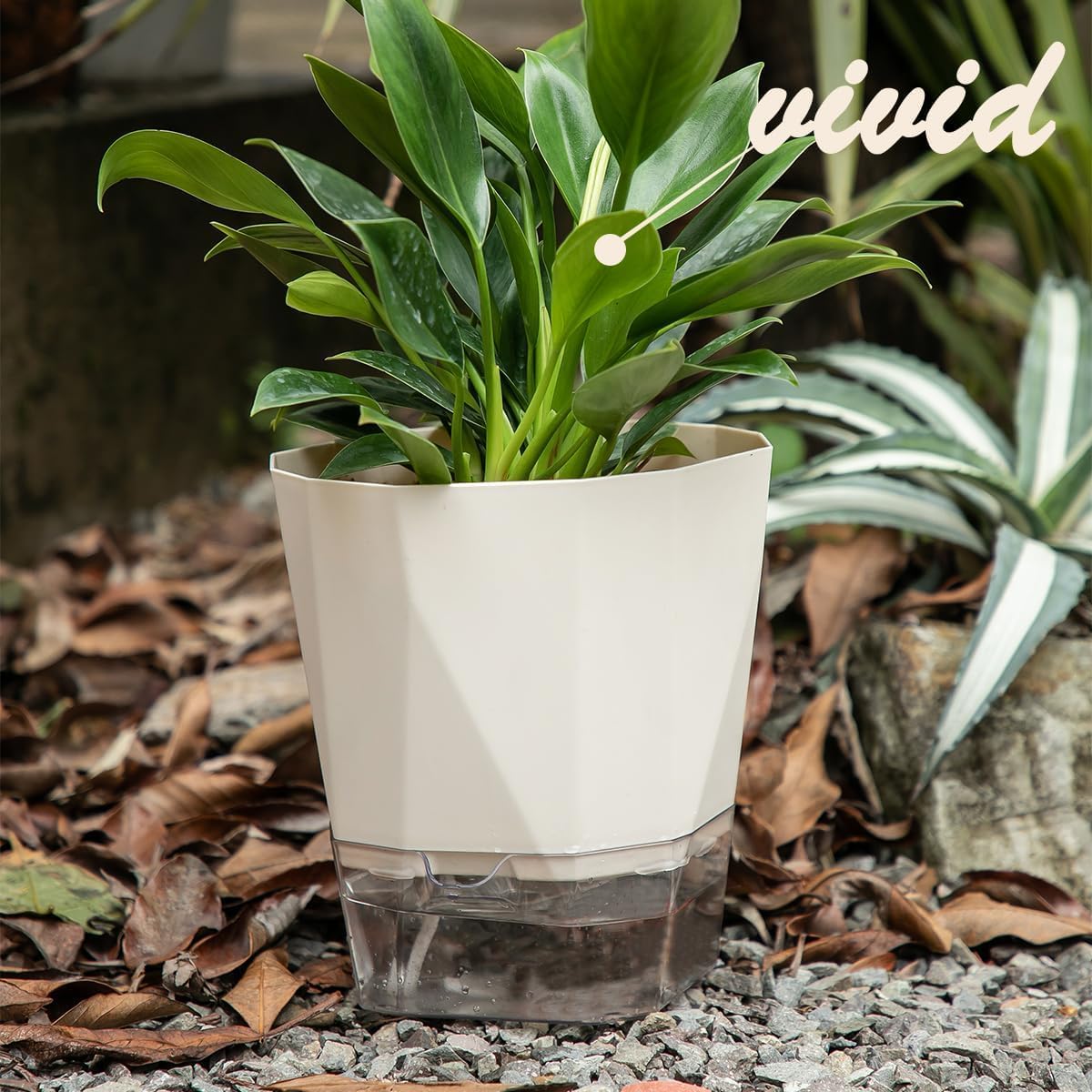 Raiz Self-Watering Pot for Indoor Plants, Best Flower Pots & Planters for Home Decor, Living Room, Kitchen, Bedroom, Table Top, Office, Gifting | Plants not Included (Off-White) (B0DCZL13V1) Amazon Price History, Amazon Price Tracker