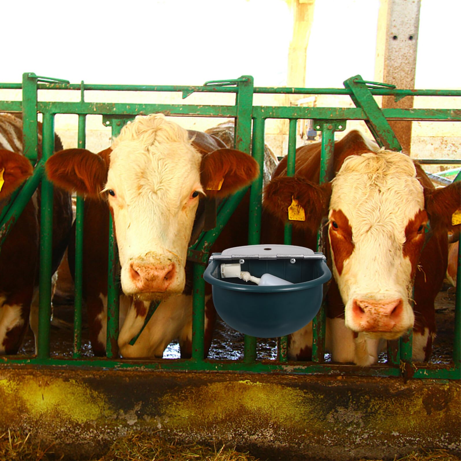 SHINEOFI Bebedero Automático para Animales de Plástico Resistente con Válvula de Flotador y Tubo de Acero Inoxidable de 80 CM para Caballos Vacas Cabras Ovejas y Perros Abrevadero